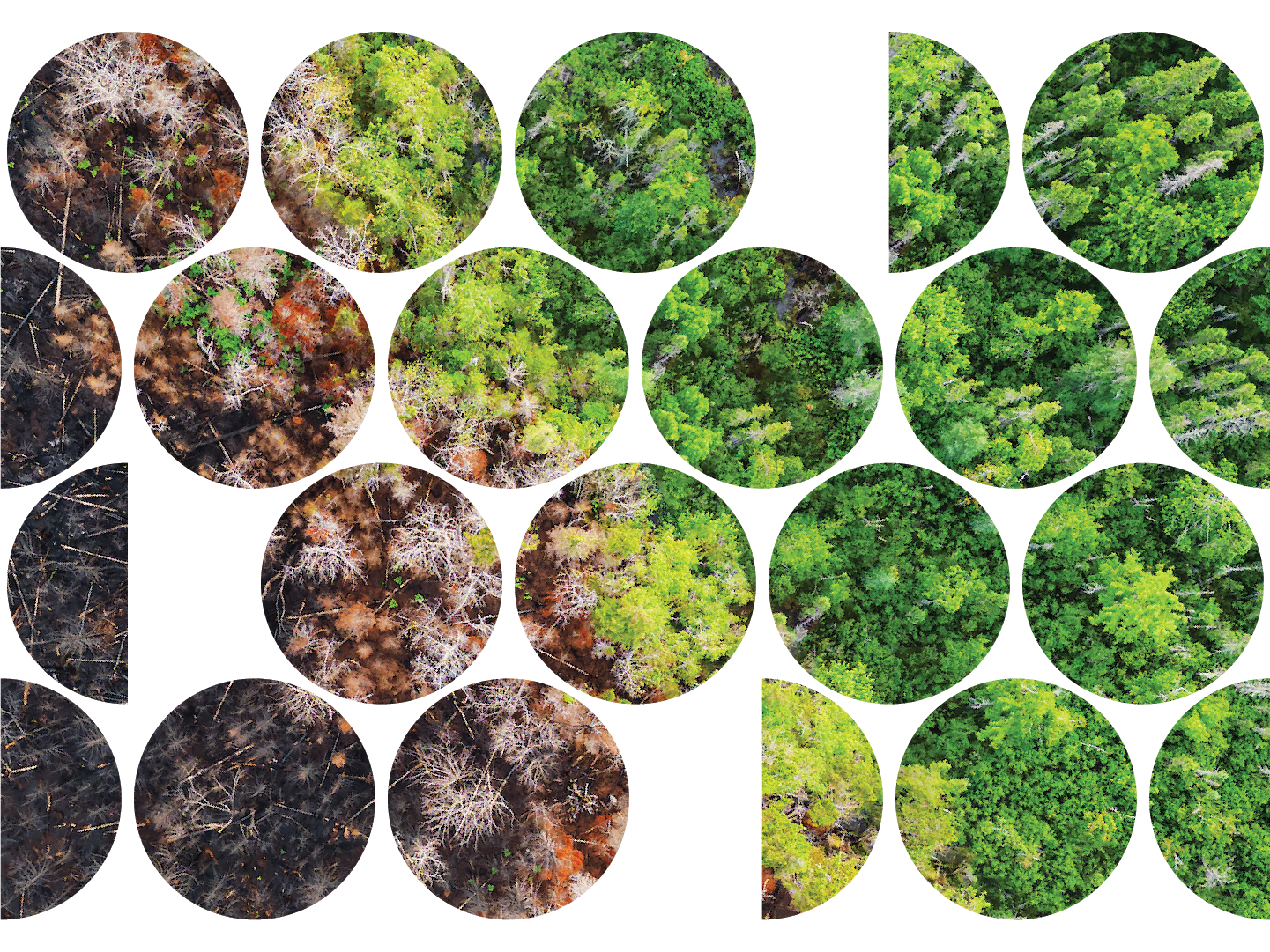 Climate-Guide_Cover-Image.png