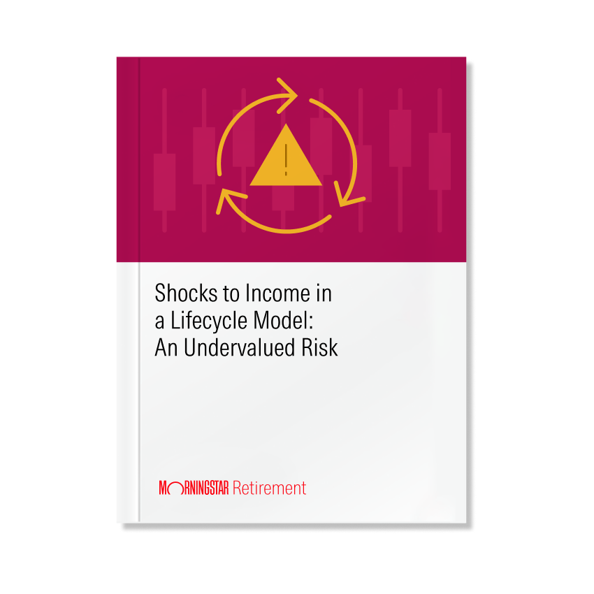 278x278_LP-Cover_Shocks-to-Income-in-Lifecycle-Model-Paper-2025.png