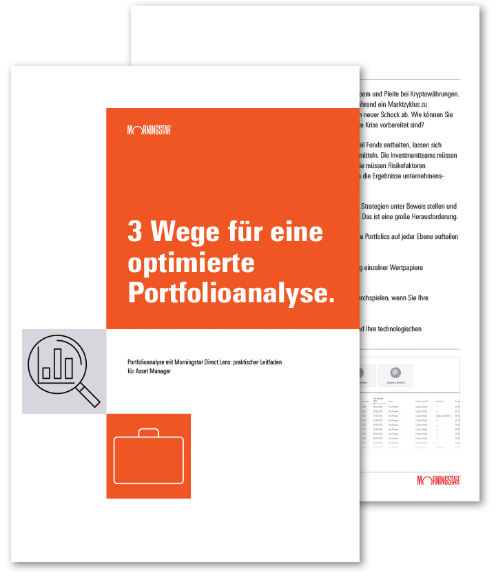 PORTFOLIO_ANALYSIS_2023_DE_web-thumb@2x.png