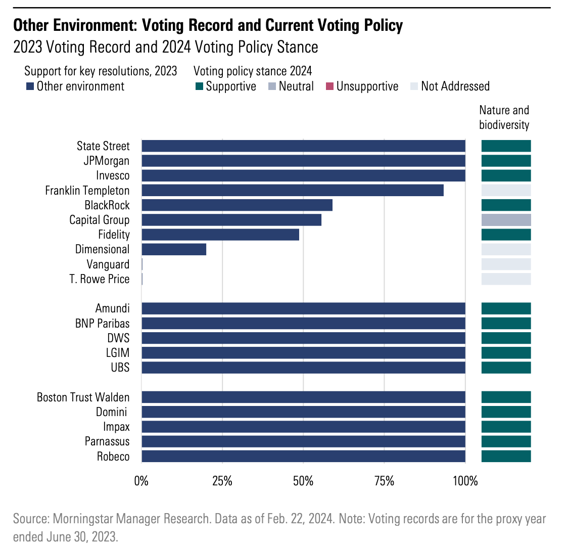 Bar graph showing the 2023 voting record for other environment and 2024 voting policy stance on nature and biodiversity from large US managers, European managers, and sustainability-focused managers.