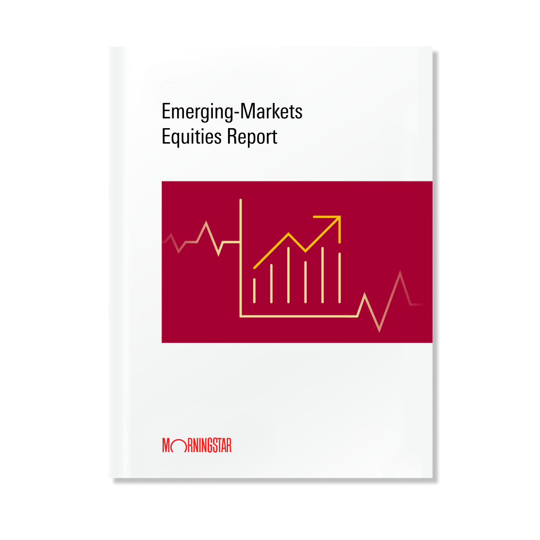 EmergingEquitiesMarkets-Pulse_LP-Thumbnail_(1).png